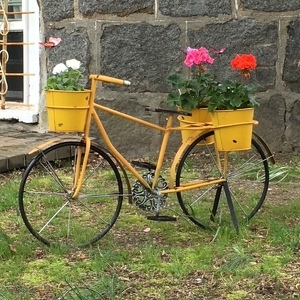 Fundraising Page: Julie Ecker